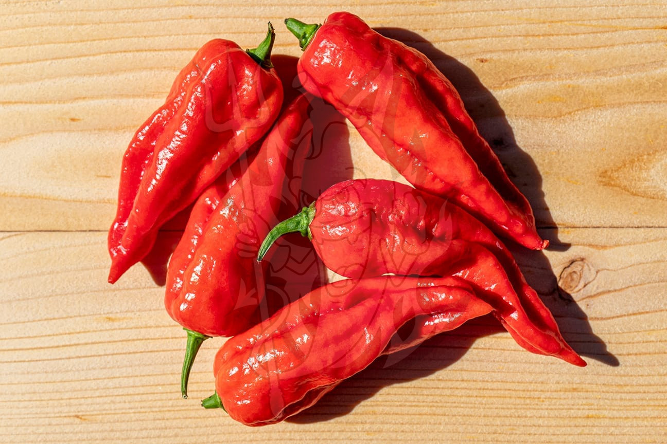 Плоды острого перца Bih Jolokia