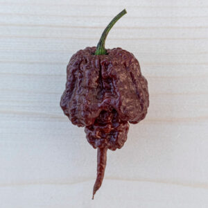 Carolina Reaper Chocolate