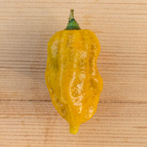 Fatalii