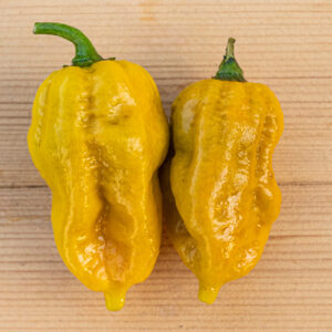 Fatalii