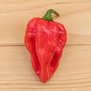 Fatalii Red