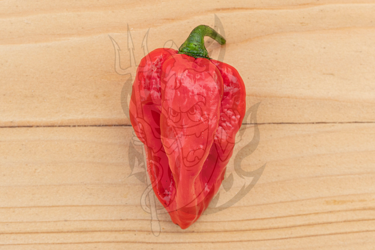 Острый перец Fatalii Red