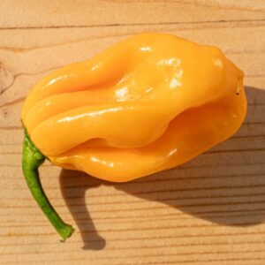 Habanero Orange