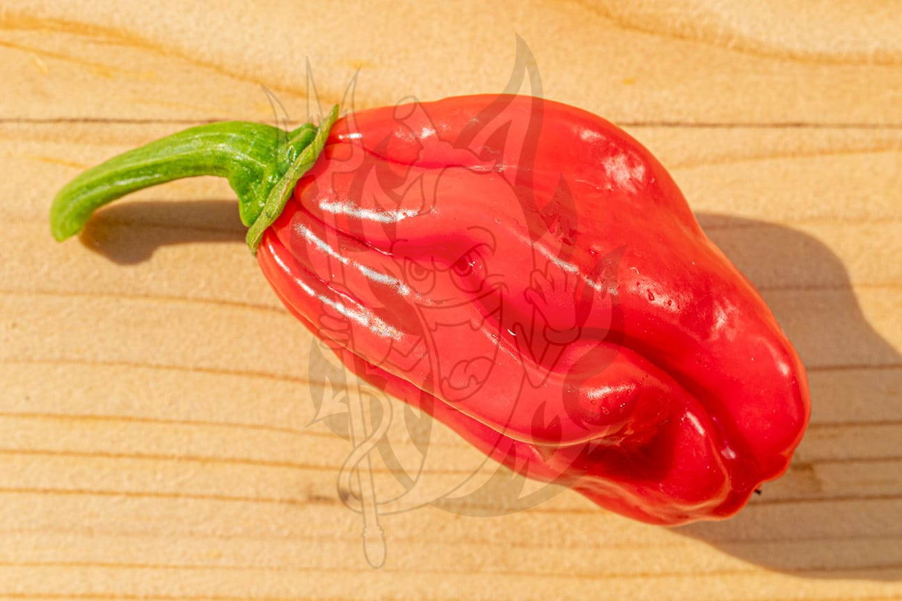 Острый перец Habanero Red