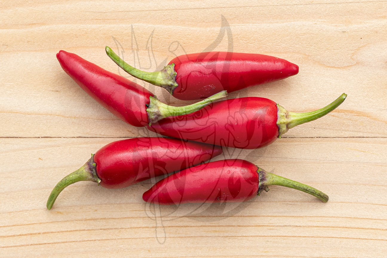 Плоды декоративного острого перца NuMex Twilight