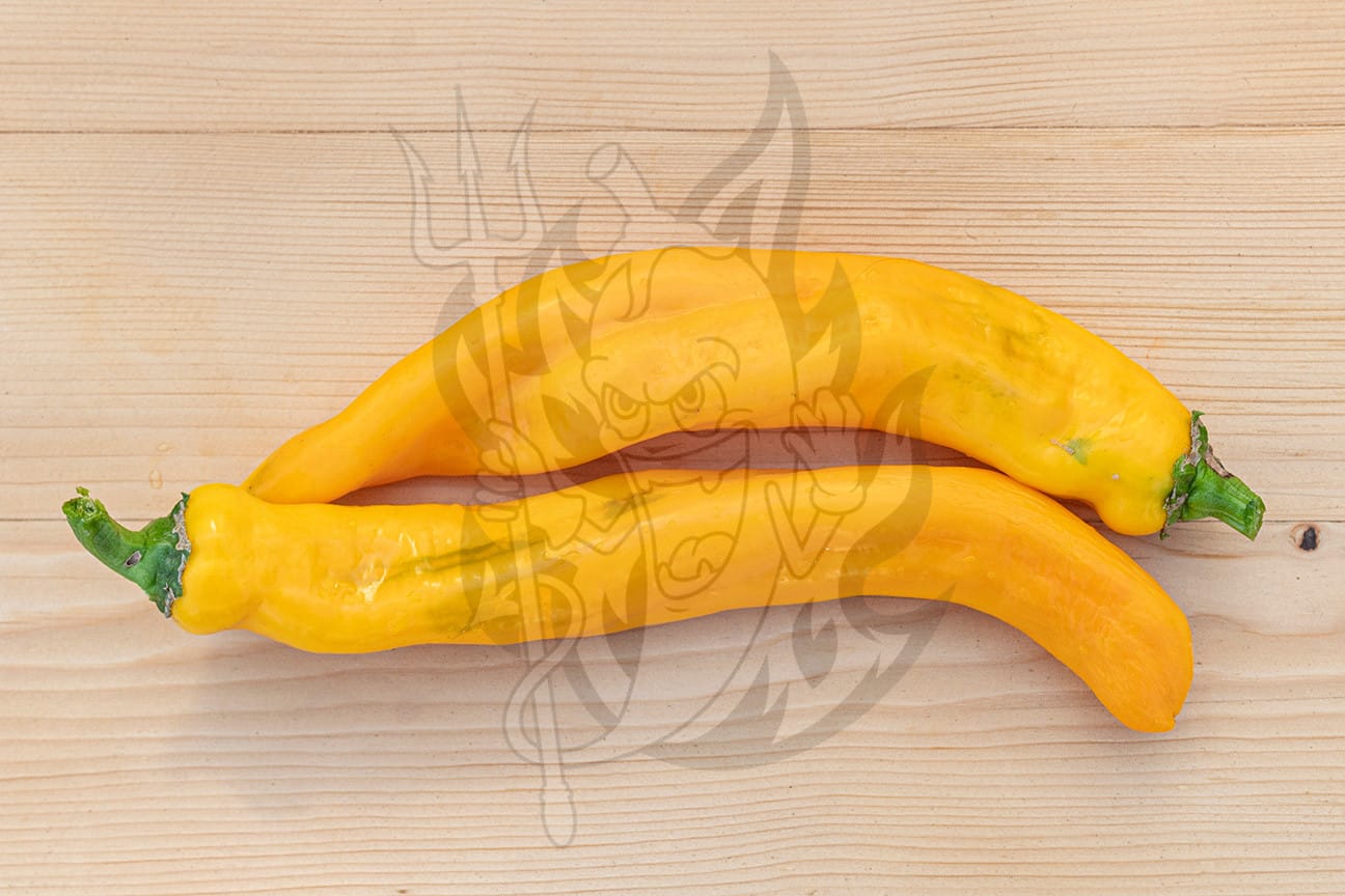 Созревшие плоды сладкого перца Ramiro Yellow